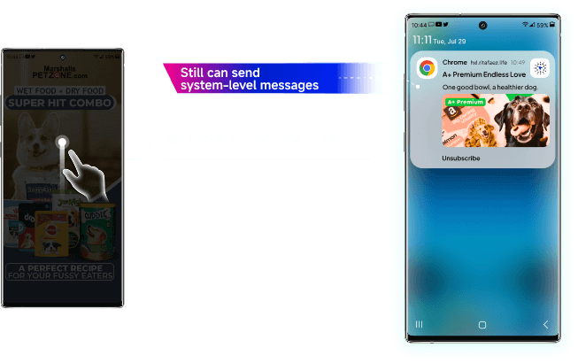 Push Notifications